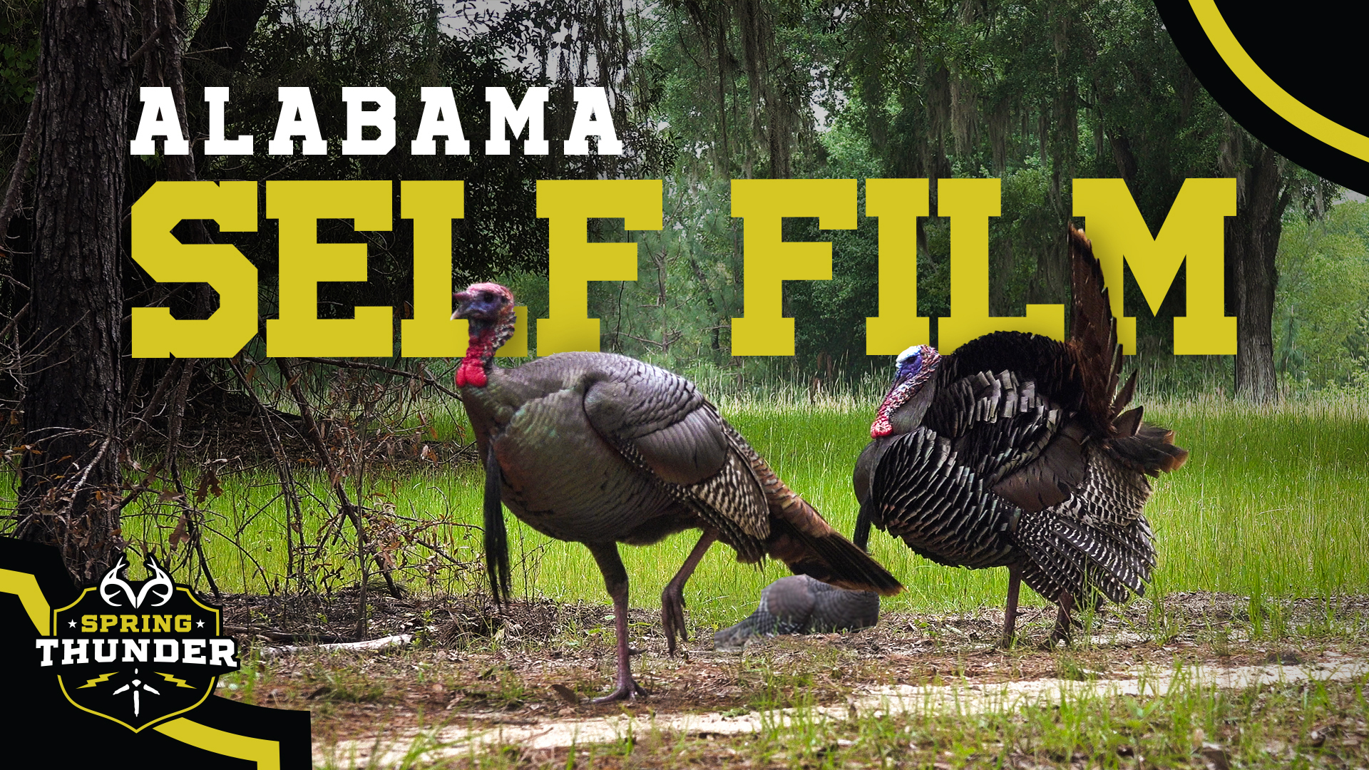 Unreal Self-Filmed Alabama Turkey Hunt | Spring Thunder