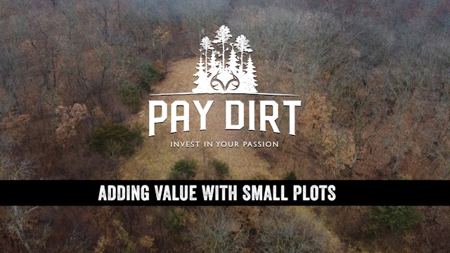 Increasing Property Value with Small Plots | Pay Dirt
