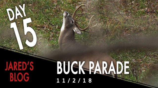 Jared's Blog: Project Farm First Hunt- Buck Parade