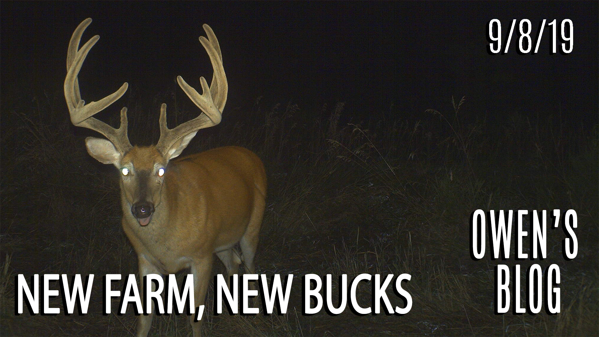 Owen's Blog: New Farm, New Bucks