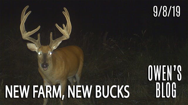 Owen's Blog: New Farm, New Bucks