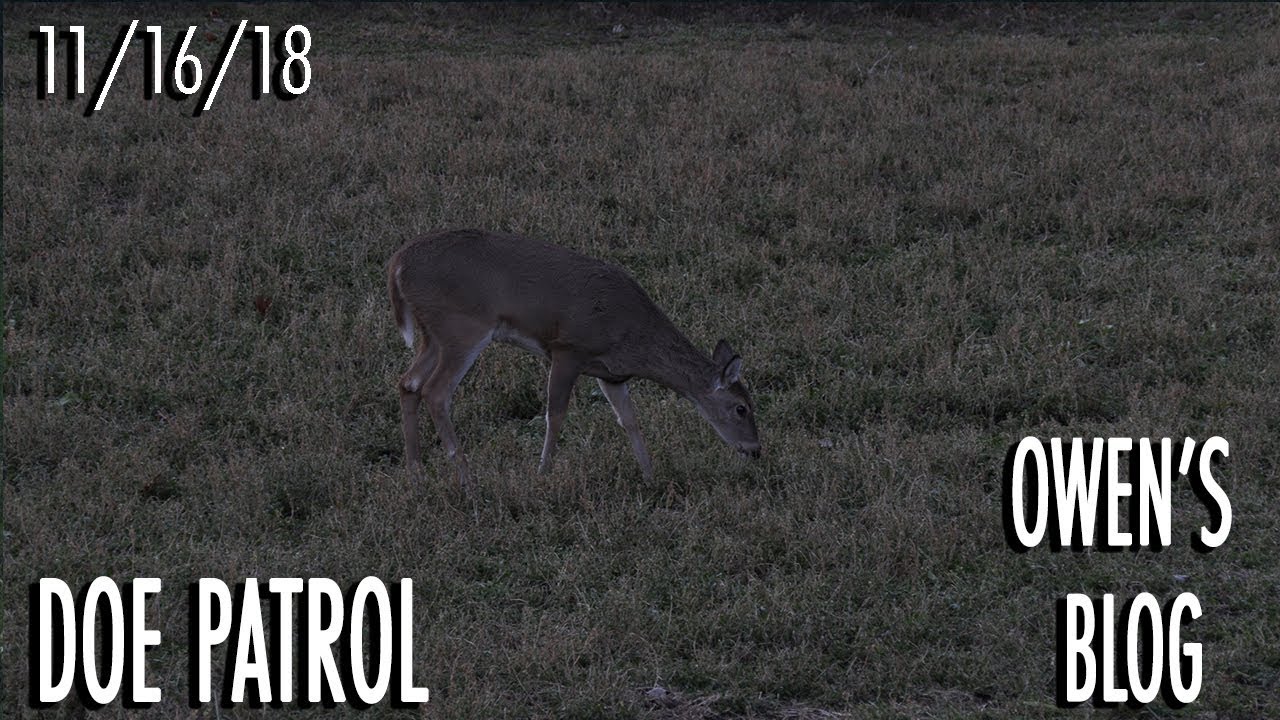 Owen's Blog: Mid-Rut Lull