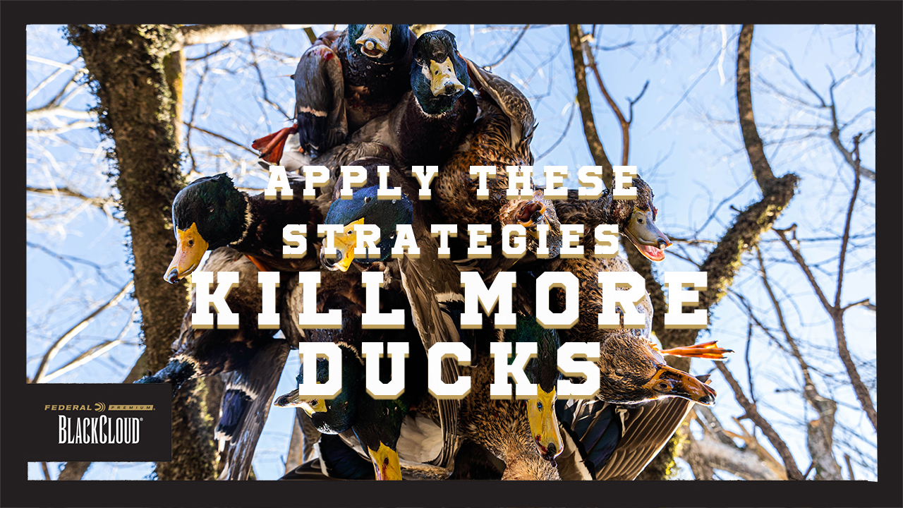 How to IMPROVE YOUR ODDS of a Successful Duck Hunt | Black Cloud