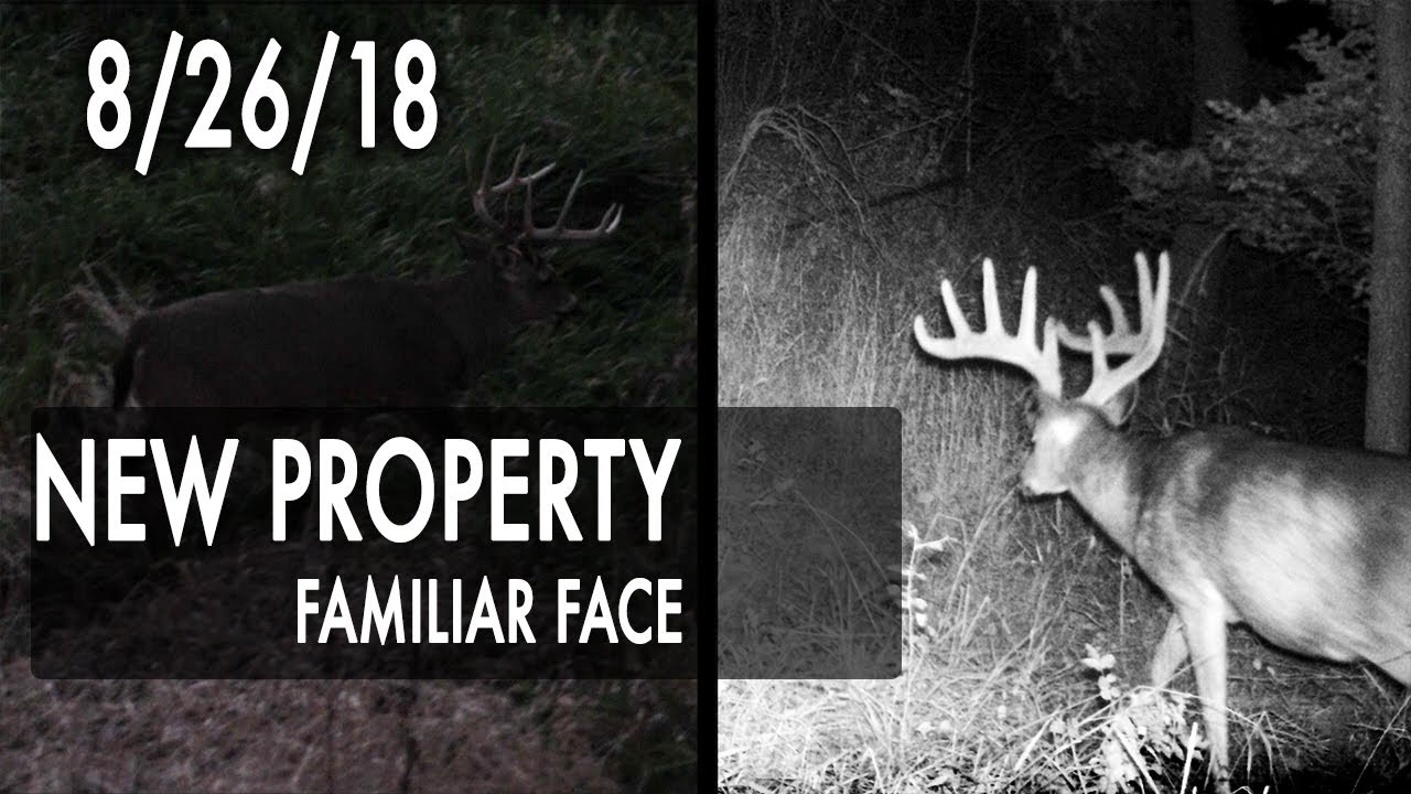 Jared's Blog: New Property, Familiar Face