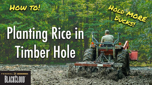 Food Plots for Ducks | 3 Easy Steps with Minimal Equipment | Rusty Creasey