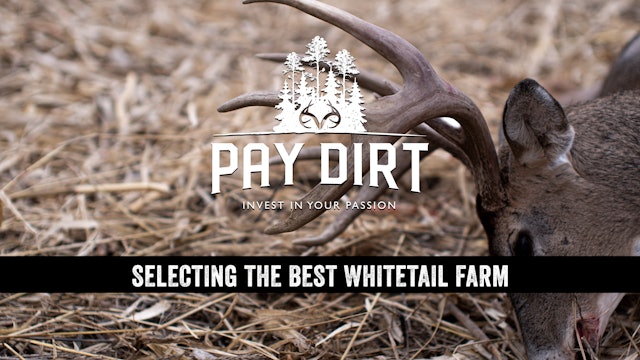 Dig Deeper: How to Select the Best Deer Hunting Property