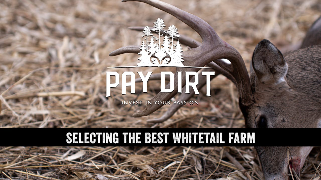 Dig Deeper How to Select the Best Deer Hunting Property Pay Dirt