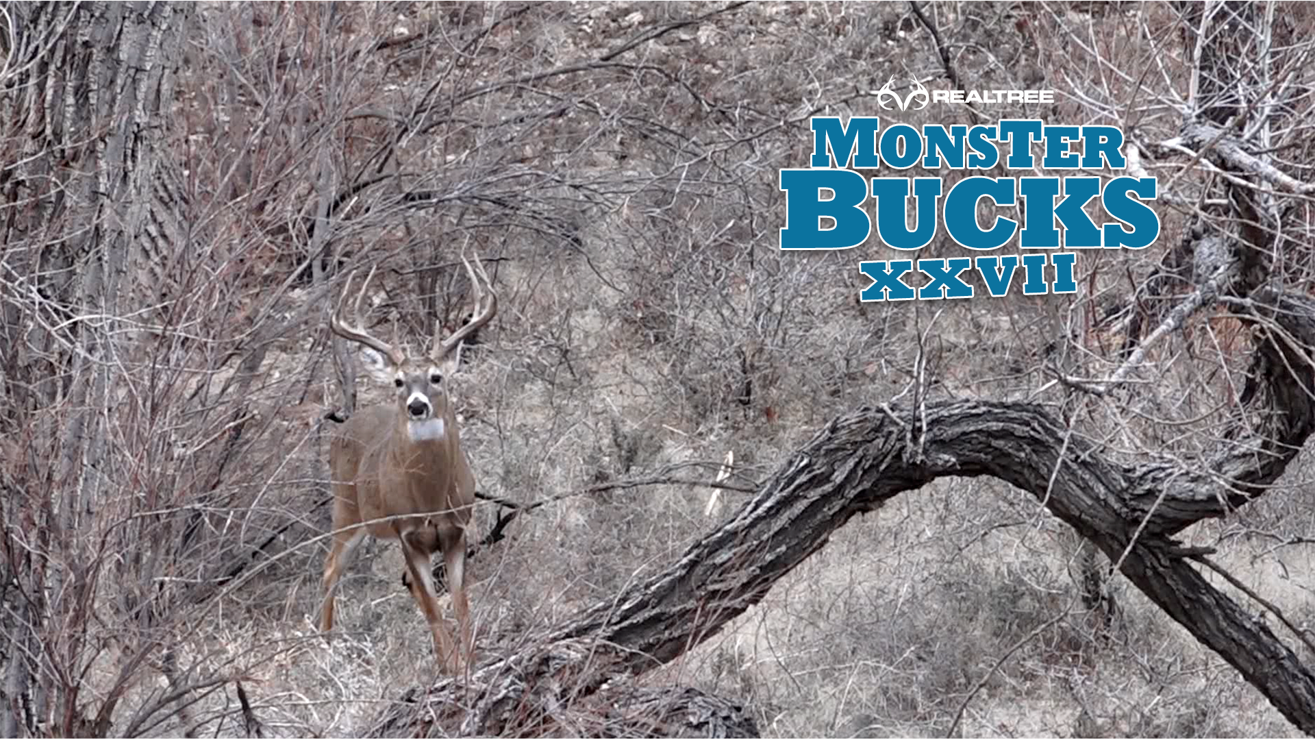 Brandon Adams Oklahoma Monster Buck