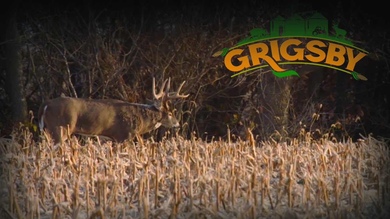 Shotgun Season Has Arrived | The Rut is Rocking | Grigsby