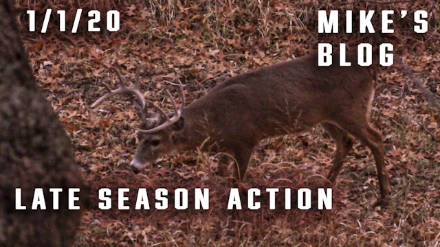 Mike's Blog: Hunting Marino with a Muzzleloader