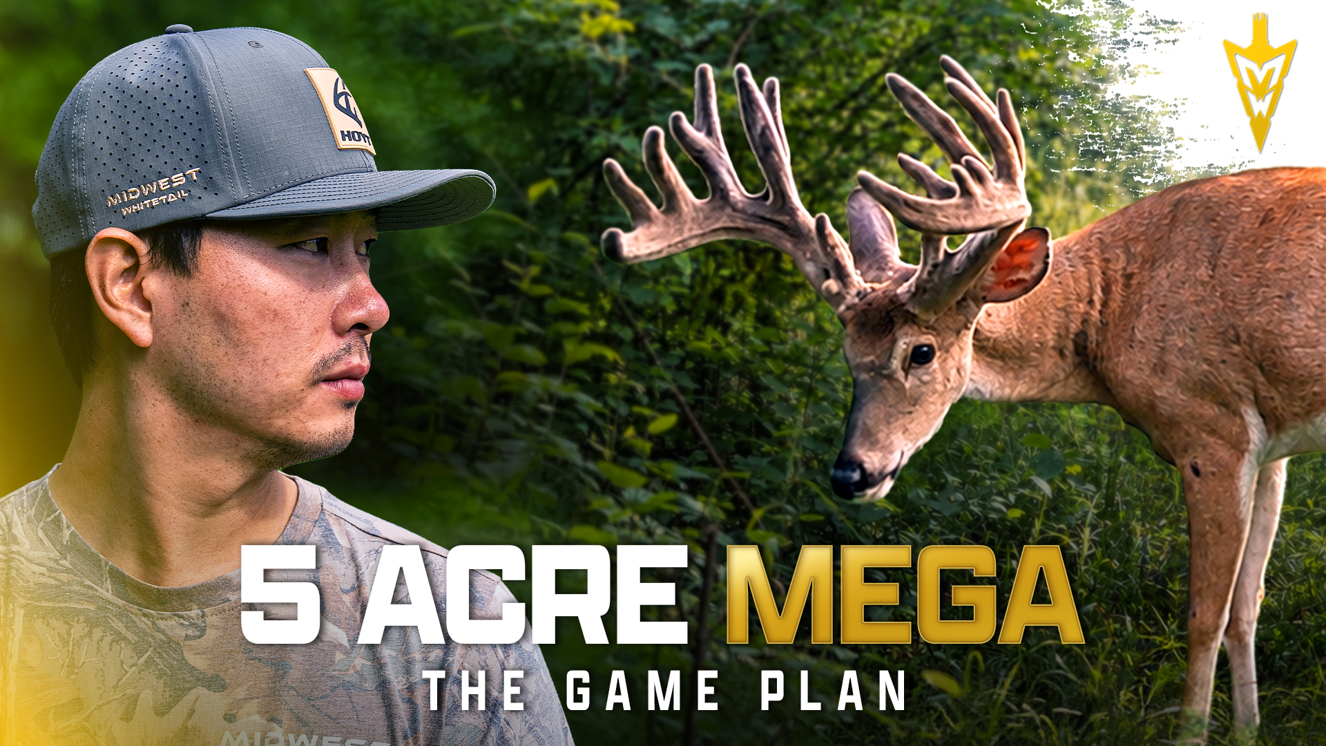 5 Acres To Hunt A MEGA, Big Buck Down Last Night In Iowa