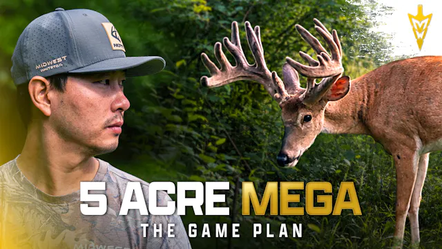 5 Acres To Hunt A MEGA, Big Buck Down...
