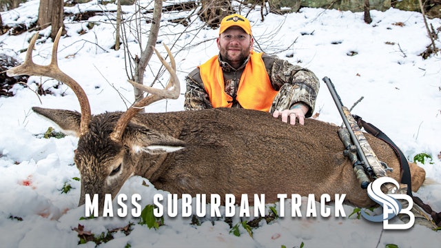 A Massachusetts Tank | Tracking Big Northeastern Deer in the Snow | Sea Bucks