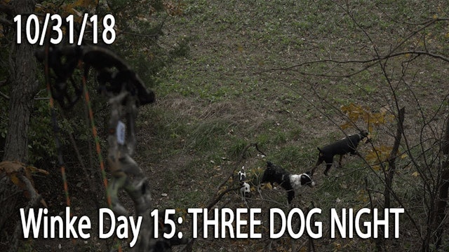 Winke Day 15: Three Dog Night