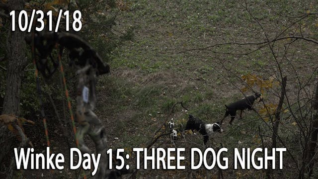 Winke Day 15: Three Dog Night