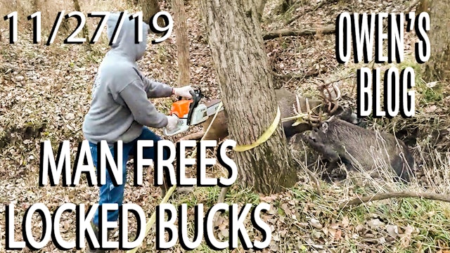 Owen's Blog : Locked Bucks Freed with Chainsaw