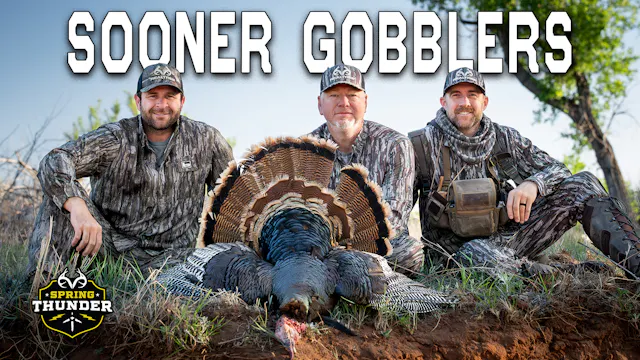 Oklahoma Hard Headed Turkeys | Windy ...