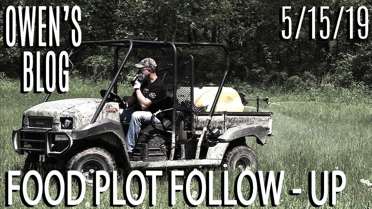 Owen's Blog: Remove Grass from Clover Plots