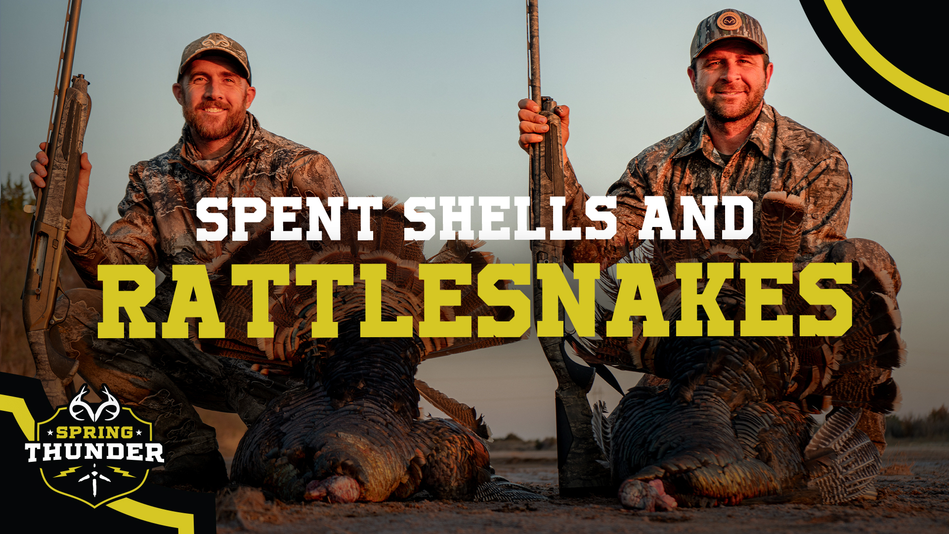 Longbeards Wrecked Our Decoys | Springtime Gobbler Frenzy | Spring Thunder