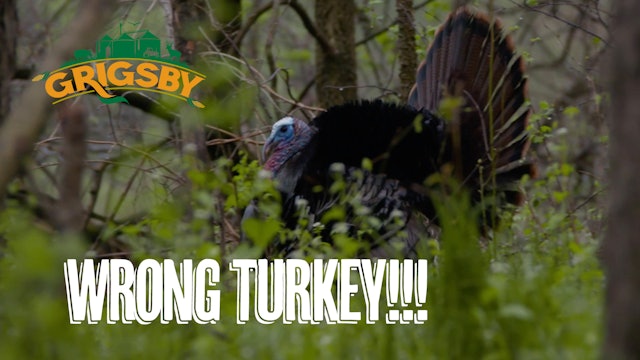 Turkey Hunting in Big Ag Country | Two Big Toms | Grigsby