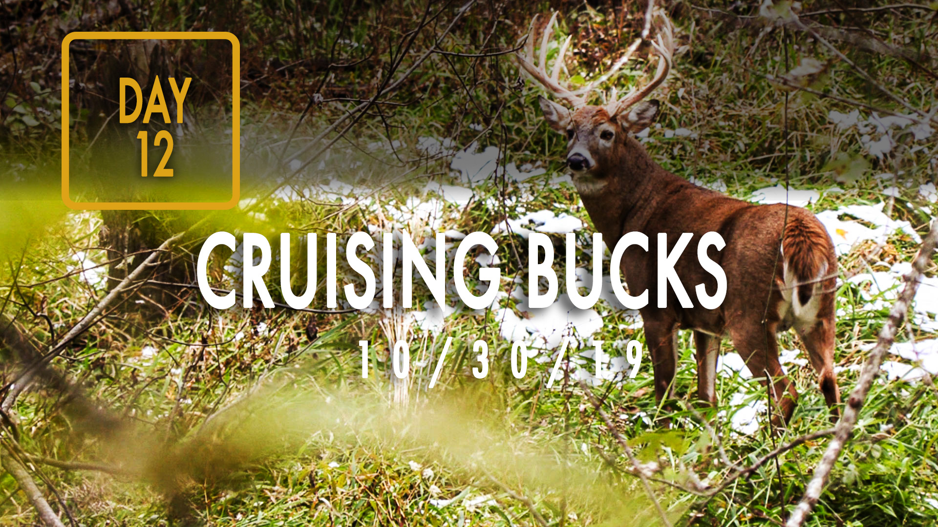 Jared Day 12: Cruising Bucks, First Snow