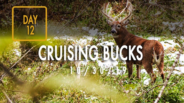Jared Day 12: Cruising Bucks, First Snow