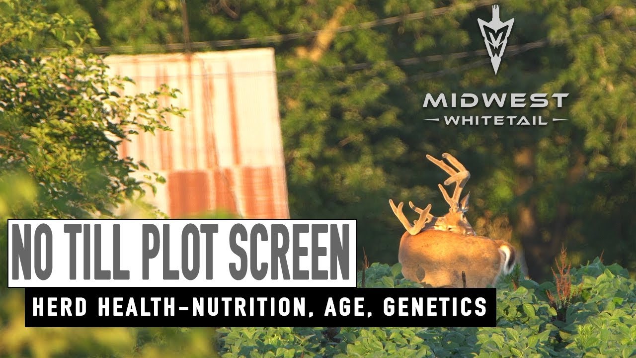 6-18-18: Screening Plots, Summer Scouting | Midwest Whitetail