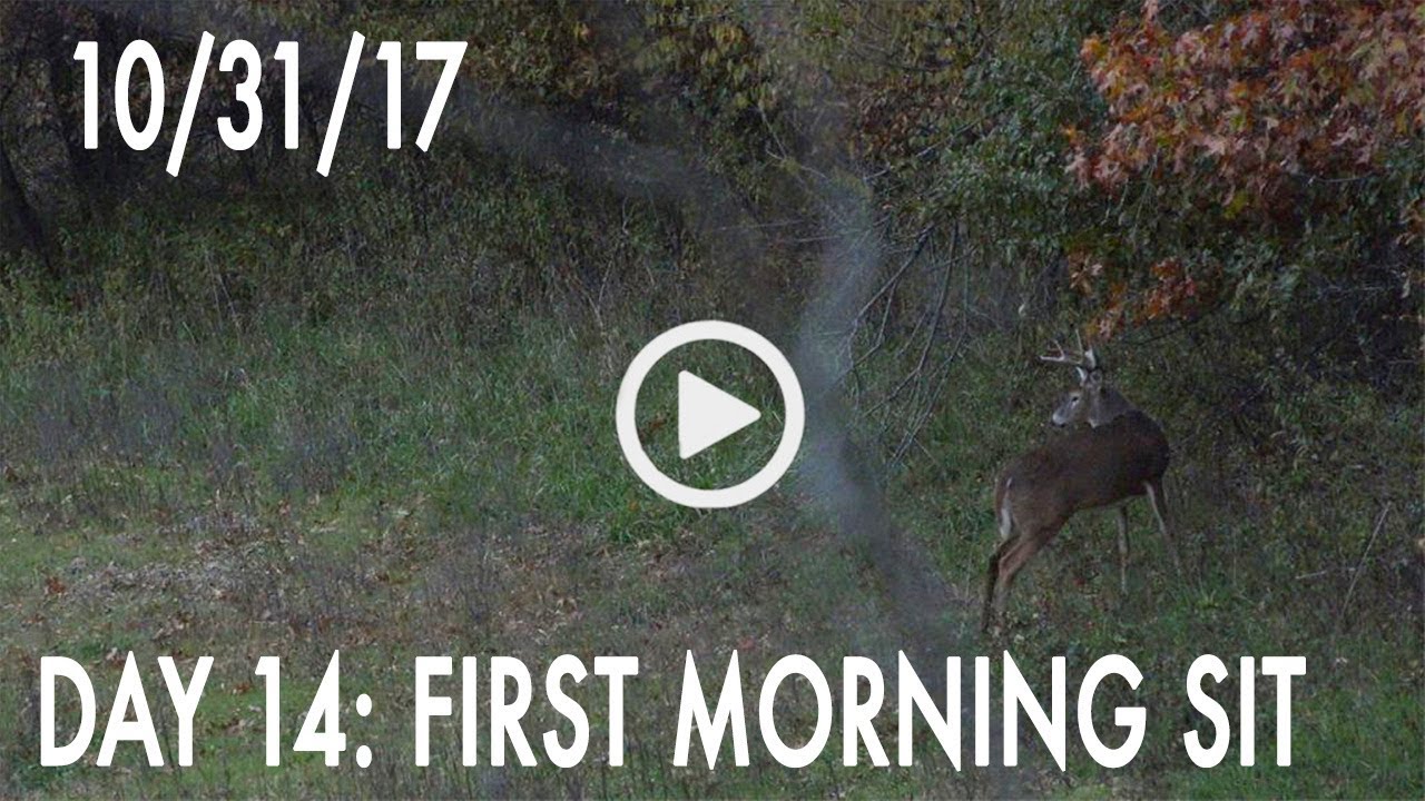 Winke Day 14: First Morning Sit