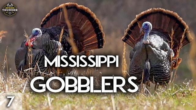 Early Season Mississippi Gobblers | A Midday Double | Spring Thunder