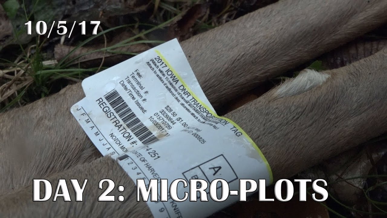 Winke Day 2: October Micro Plot Hunting