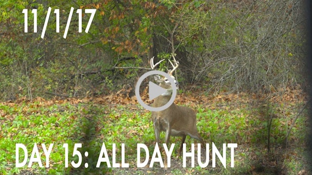 Winke Day 15: All Day Hunt