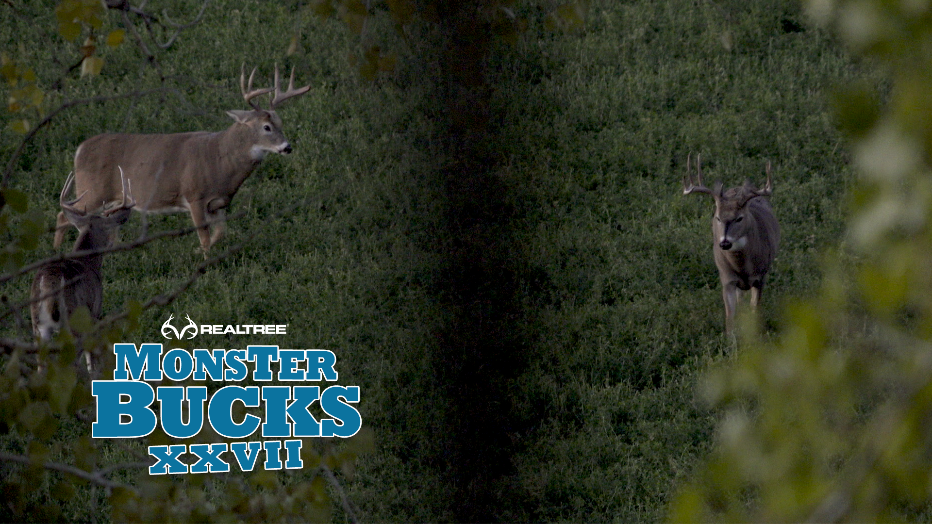 Tyler Jordan Hunts a Montana Monster