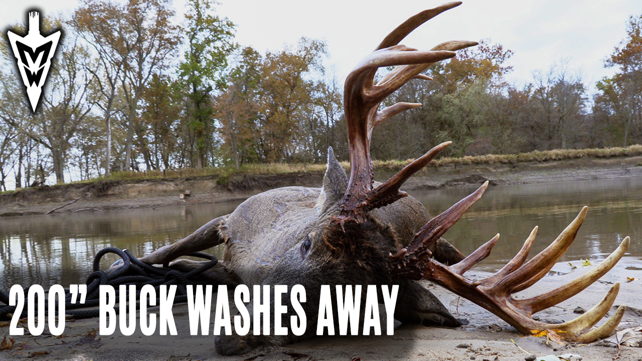 11-18-19: 200" Deer Almost Lost In River, Public Land Stud | Midwest Whitetail