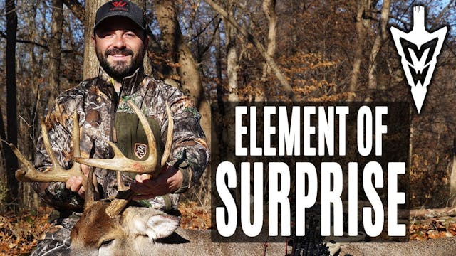 12-3-18: Public Bruiser From The Grou...