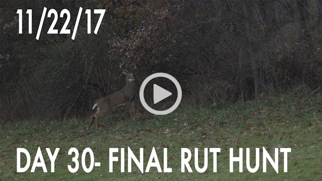 Winke Day 30: Final Rut Hunt