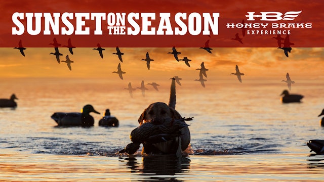 Sun Sets on the 2021-22 Duck Season | Until Next Time | Honey Brake Experience 