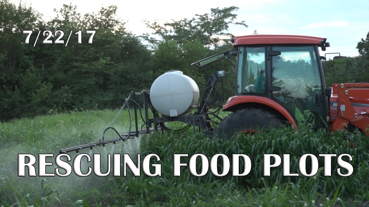 Winke's Blog: Rescuing Food Plots