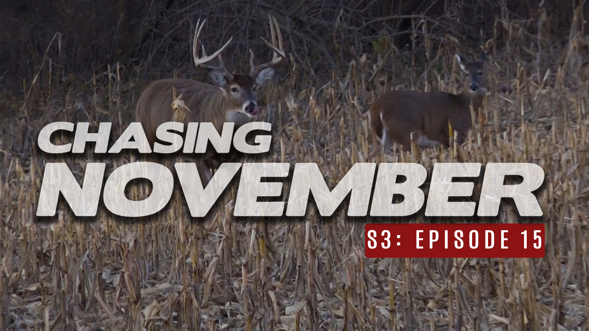 S3E15: Rattling in 3 Bucks, Chasing a Big 10
