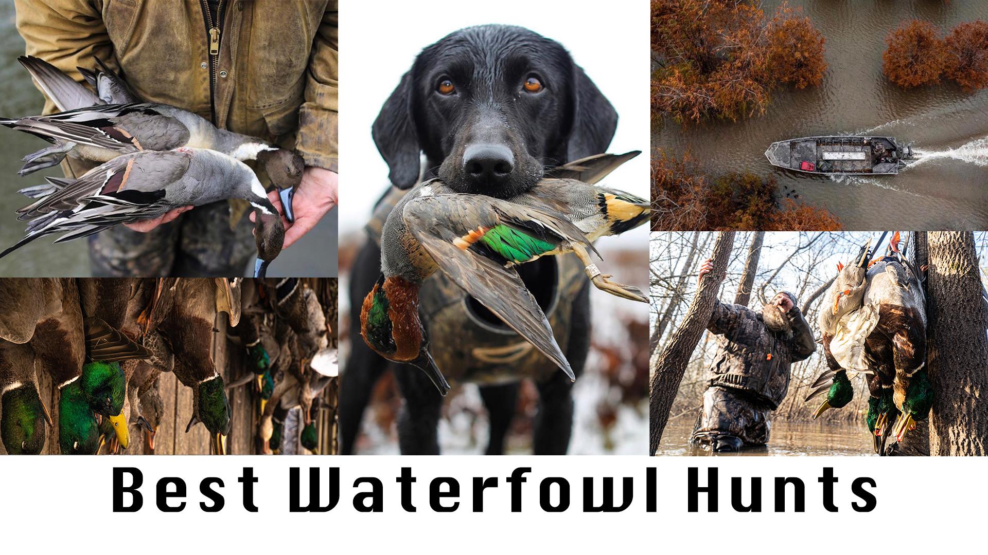 Best of Realtree (Waterfowl Hunting)