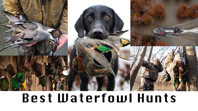 Best of Realtree (Waterfowl Hunting)