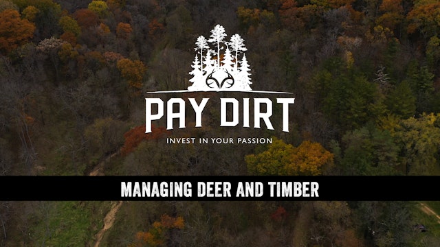 Managing Your Timber for Deer Habitat and Profit | Pay Dirt