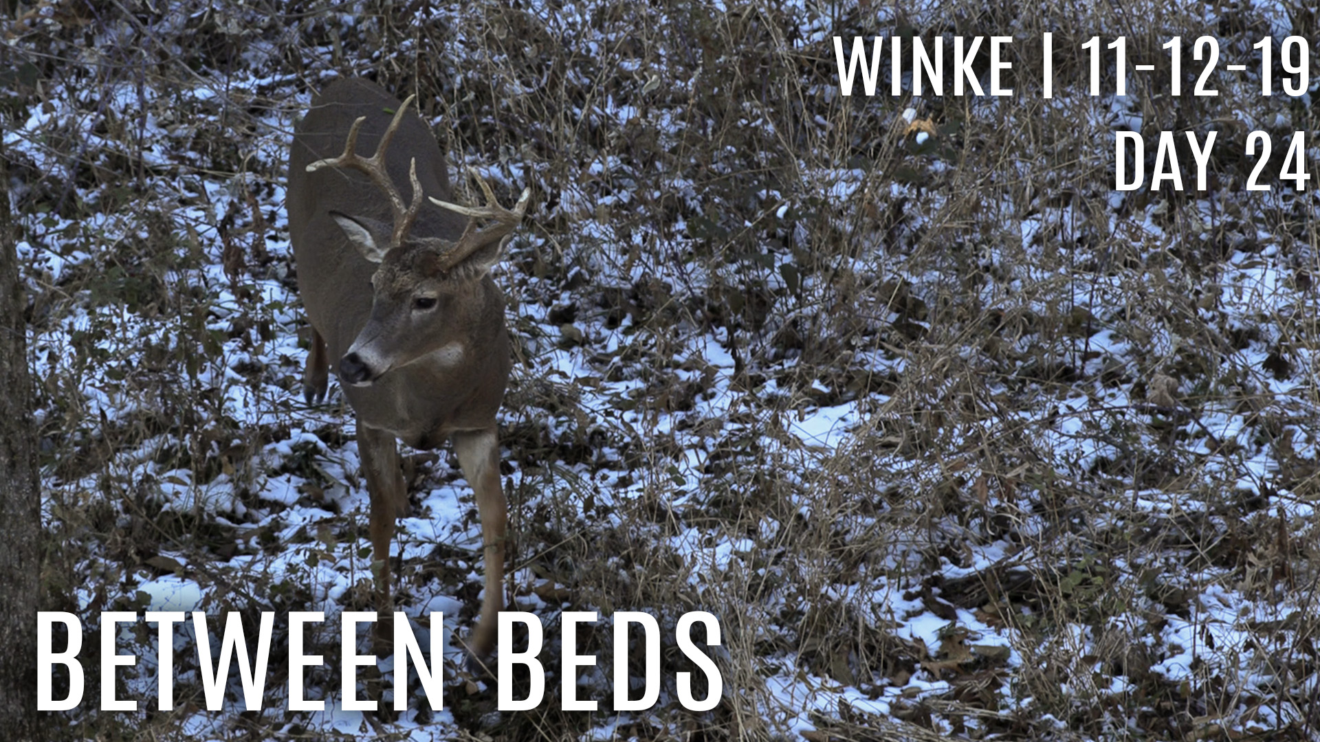 Winke Day 24: Between Beds, Finding Cruisers