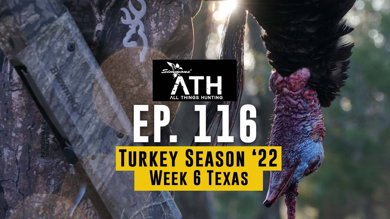 Texas Turkeys | Getting Gobblers with Friends | All Things Hunting