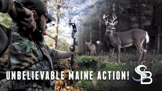 The Reality of Deer Hunting in New England | Early Season Bowhunting | Sea Bucks