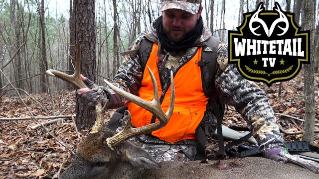 Alabama Deer Hunting: Big Southern Ru...
