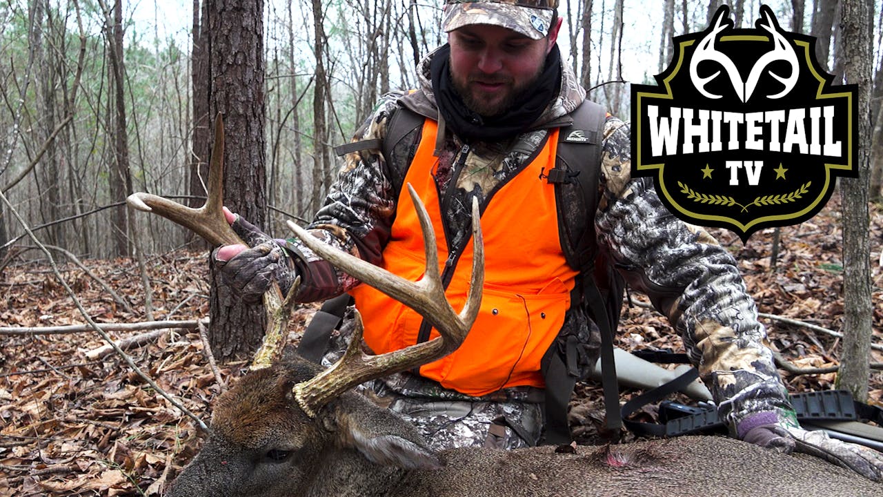 Alabama Deer Hunting Big Southern Rutting Bucks 2019 Realtree 365