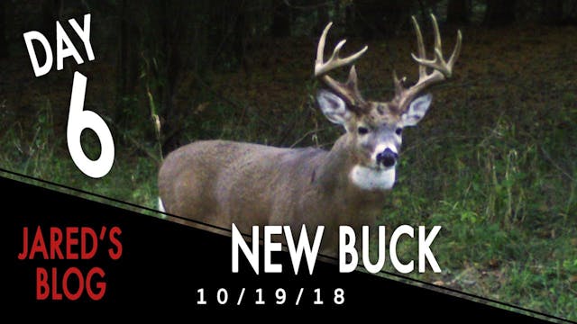 Jared's Blog: Finding a New Buck