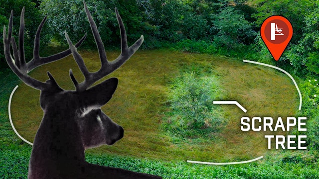 Creative Food Plots on Permission Properties | Midwest Whitetail