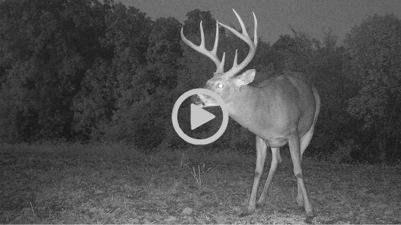 10-9-17: Risk vs. Reward, Don’t Blow It | Midwest Whitetail