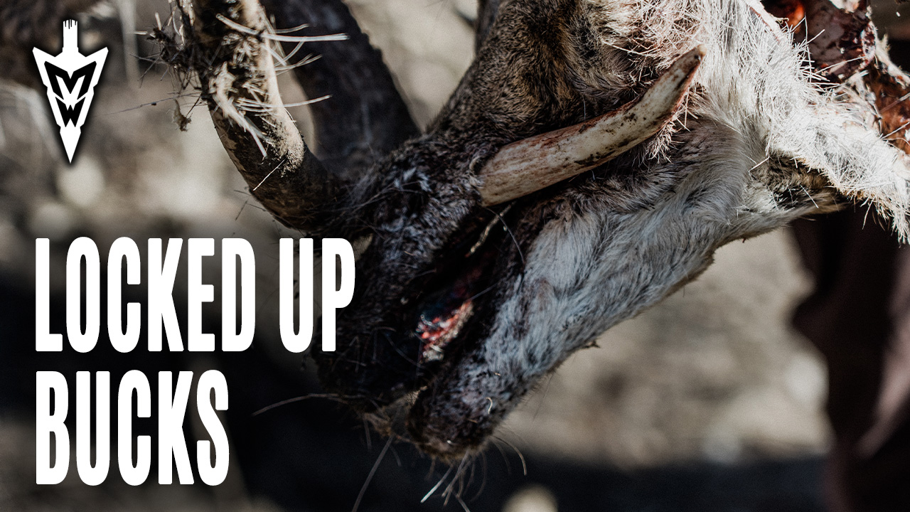 Locked Up Bucks, Scouting Overlooked Hunting Properties | Midwest Whitetail